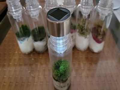 苔蘚微景觀生態產品