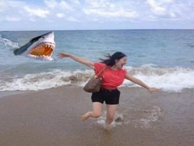 苔蘚微景觀生態產品