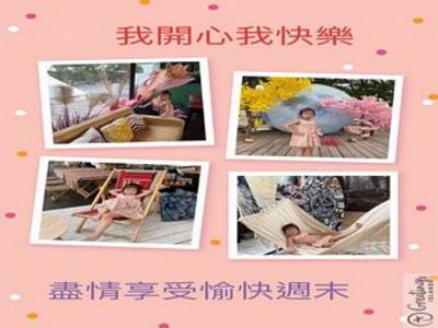 苔蘚微景觀生態產品