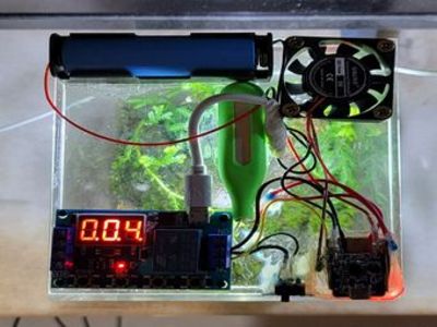 苔蘚微景觀生態產品