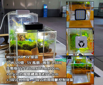 苔蘚微景觀生態產品